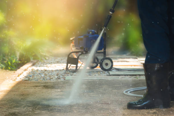 Animal Enclosure Cleaning in Palm Bay, FL